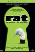 Watch Rat Niter