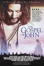 Watch The Visual Bible: The Gospel of John Niter