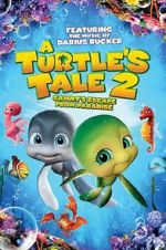 Watch A Turtle\'s Tale 2: Sammy\'s Escape from Paradise Niter