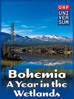 Watch Bohemia: A Year in the Wetlands Niter