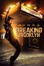 Watch Breaking Brooklyn Niter