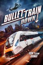 Watch Bullet Train Down Niter