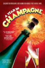 Watch A Year in Champagne Niter