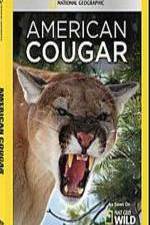 Watch National Geographic - American Cougar Niter