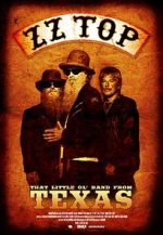 Watch ZZ Top: That Little Ol\' Band from Texas Niter