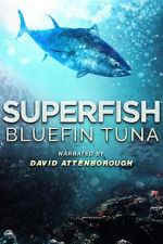 Watch Superfish Bluefin Tuna Niter