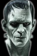 Watch Frankenstein Birth of a Monster Niter