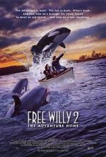 Watch Free Willy 2: The Adventure Home Niter