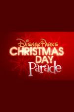 Watch Disney Parks Magical Christmas Day Parade Niter