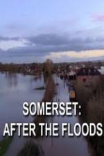 Watch Somerset: After the Floods Niter