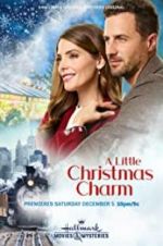 Watch A Little Christmas Charm Niter