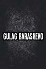 Watch Gulag Barashevo Niter