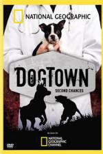 Watch National Geographic DogTown Niter
