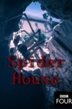 Watch Spider House Niter