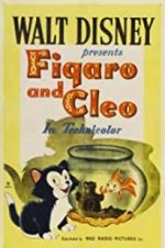Watch Figaro and Cleo Niter