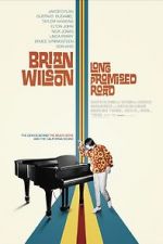 Watch Brian Wilson: Long Promised Road Niter