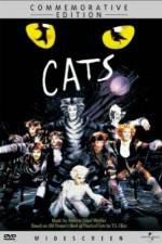 Watch Great Performances Cats Niter