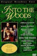 Watch Into the Woods Niter