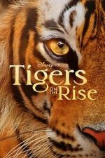 Watch Tigers on the Rise Niter