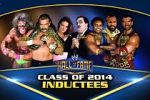 Watch WWE Hall of Fame Niter