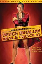 Watch Deuce Bigalow: Male Gigolo Niter