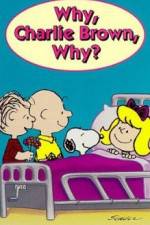 Watch Why Charlie Brown Why Niter