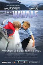 Watch The Whale Niter