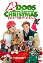 Watch 12 Dogs of Christmas: Great Puppy Rescue Niter