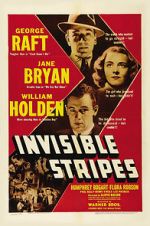Watch Invisible Stripes Niter