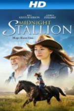 Watch Midnight Stallion Niter