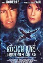 Watch Rough Air: Danger on Flight 534 Niter