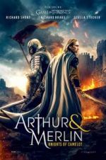 Watch Arthur & Merlin: Knights of Camelot Niter
