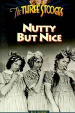 Watch Nutty But Nice Niter