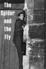 Watch The Spider and the Fly Niter