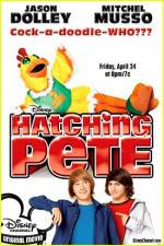 Watch Hatching Pete Niter