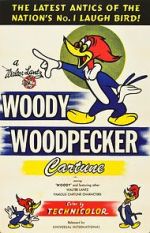 Watch The Woody Woodpecker Polka Niter