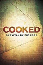 Watch Cooked: Survival by Zip Code Niter