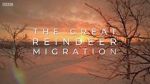 Watch All Aboard! The Great Reindeer Migration Niter