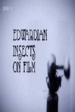 Watch Edwardian Insects on Film Niter
