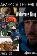 Watch National Geographic Wild America the Wild Wolverine King Niter