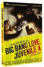 Watch Big Bang Love Juvenile A Niter