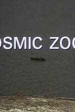 Watch Cosmic Zoom Niter