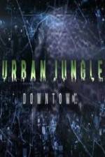 Watch National Geographic Wild Urban Jungle Downtown Niter
