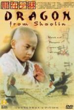 Watch Long zai Shaolin Niter