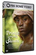 Watch Prince Among Slaves Niter