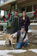 Watch Hallmark Hall of Fame A Dog Named Christmas Niter