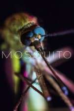 Watch Mosquito Niter