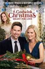 Watch A Godwink Christmas: Meant for Love Niter