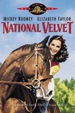 Watch National Velvet Niter