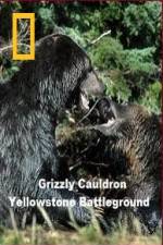 Watch National Geographic Grizzly Cauldron Niter